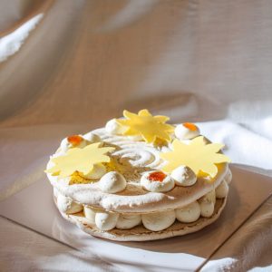 WhatsApp Image 2026-04-24 at 11.11.10